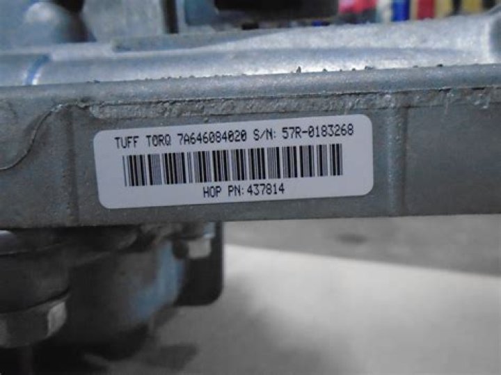 Who Is Ava Evans? What did Laurence Fox say about Ava Evans on GB News? - SarkariResult