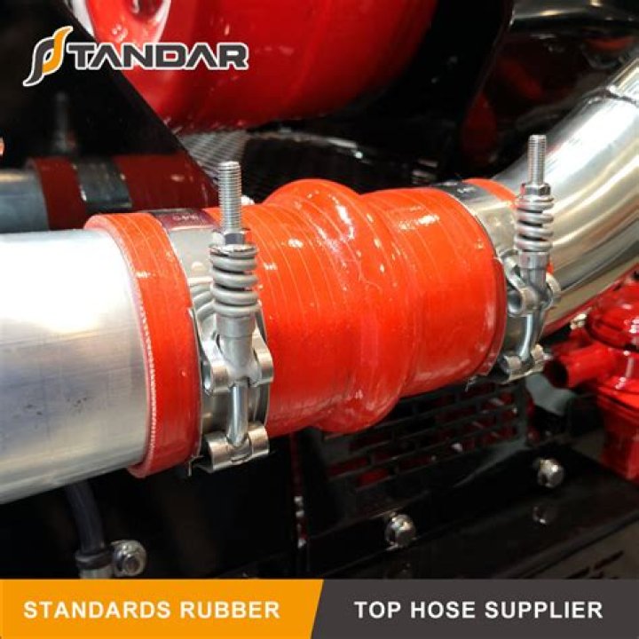 Fiona Shaw Net Worth: Details About Movies, Husband, Cars, Children, Age - SarkariResult