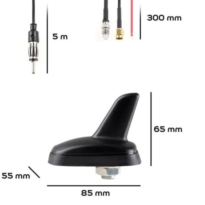 Mara Justine Height: What is The Hight of Mara Justine? - SarkariResult