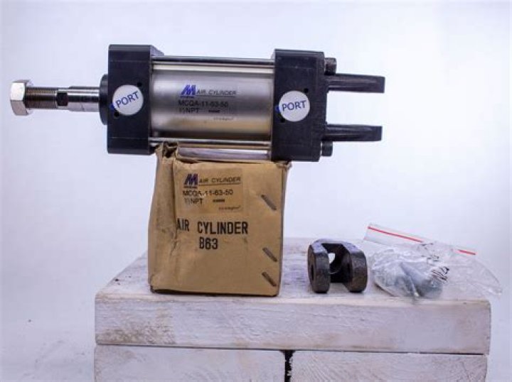 Pokemon Go Mega Kangaskhan Raid Guide for Shiny Mega Kangaskhan - SarkariResult