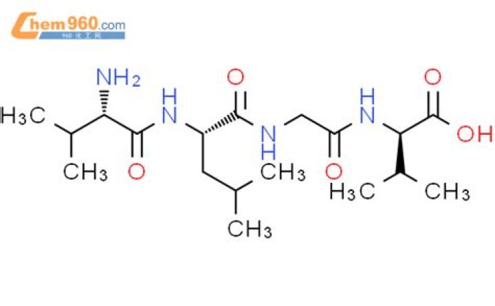 Ryan Haynes Net Worth: Career, Home, Age, Income, All You Need to Know - SarkariResult
