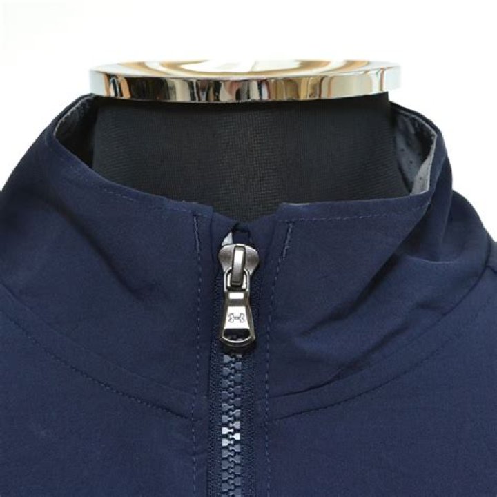 Finding Raging Bolt in Pokemon Scarlet and Violet: Unlocking Guide - SarkariResult