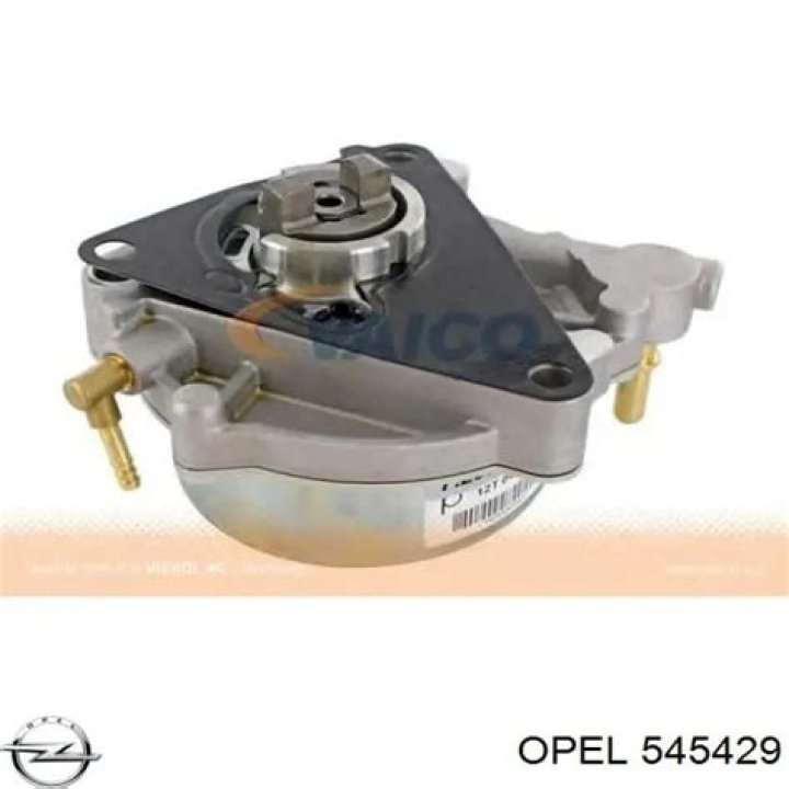 Rising With The Wind Season 2 : Everything We Know So Far - SarkariResult