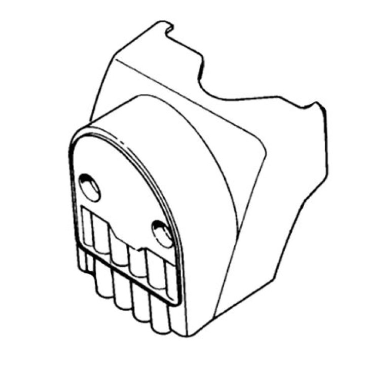 Arlene Silver: Background and Age Information about Arlene Silver - SarkariResult