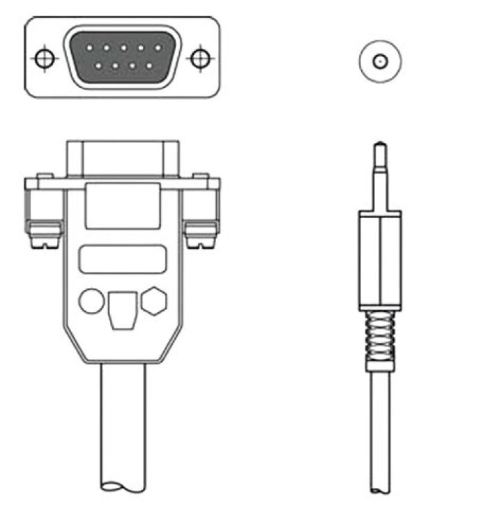Dan Balan Lubita Accident: Was He Drunk Or Drugged At The Concert? The Video Went Viral - SarkariResult
