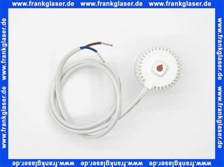 Eitan Tibi Net Worth: Career, Home, Age, Income, All You Need to Know - SarkariResult