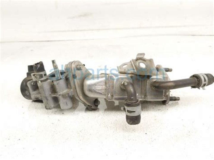 Dylan Arrington's Obituary & Cause Of Death: Who Was Dylan Arrington? What Happened to Dylan Arrington? - SarkariResult