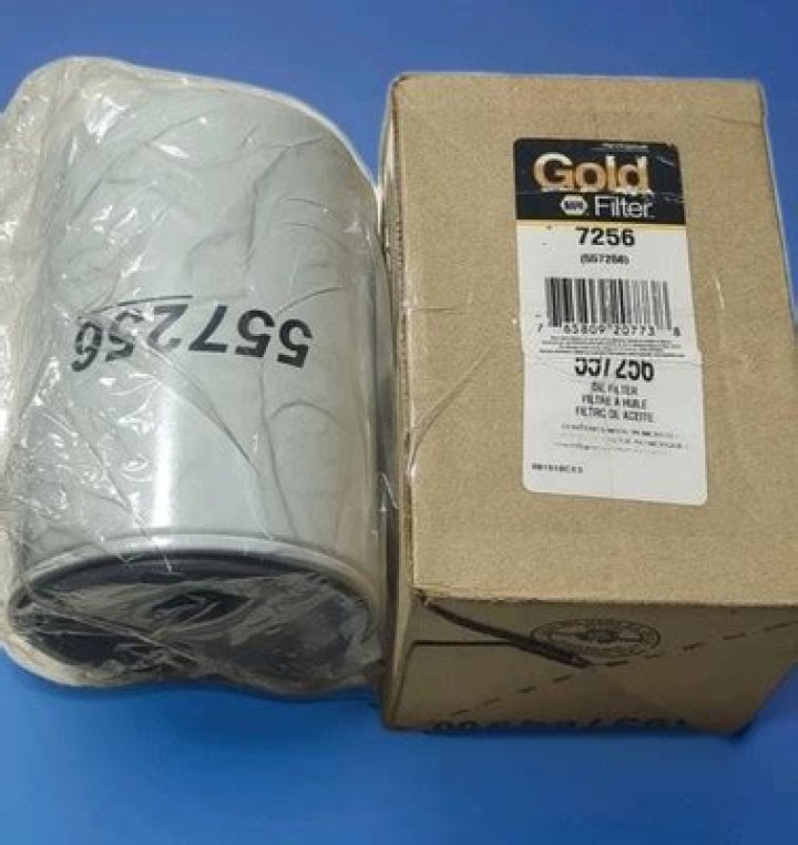 Cecil the Dog's $4,000 Cash Mishap: Analyzing the Social Media Impact - SarkariResult