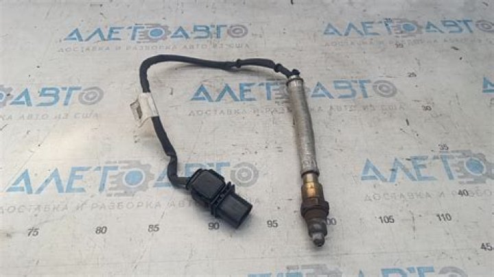 Did KJ Smith Undergo Cosmetic Procedures / Plastic Surgery? Unveiling the Identity of KJ Smith - SarkariResult