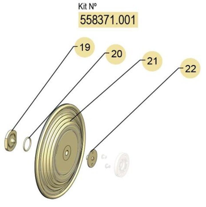 Disney Dreamlight Valley: Preparing Vegetarian Taco in Dreamlight Valley - SarkariResult