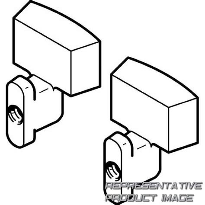 Pokemon Scarlet and Violet Indigo Disk: Shiny Mudkip Locations - SarkariResult