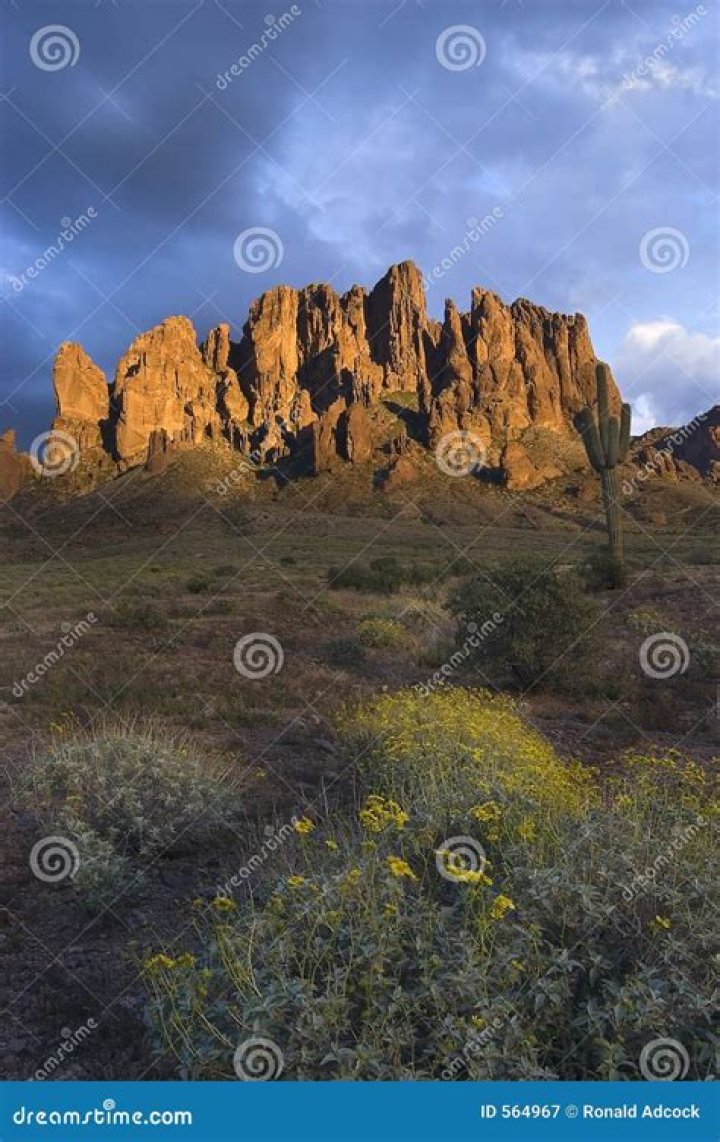 What's the Latest on Dennis Miller? Where is Dennis Miller Now? - SarkariResult