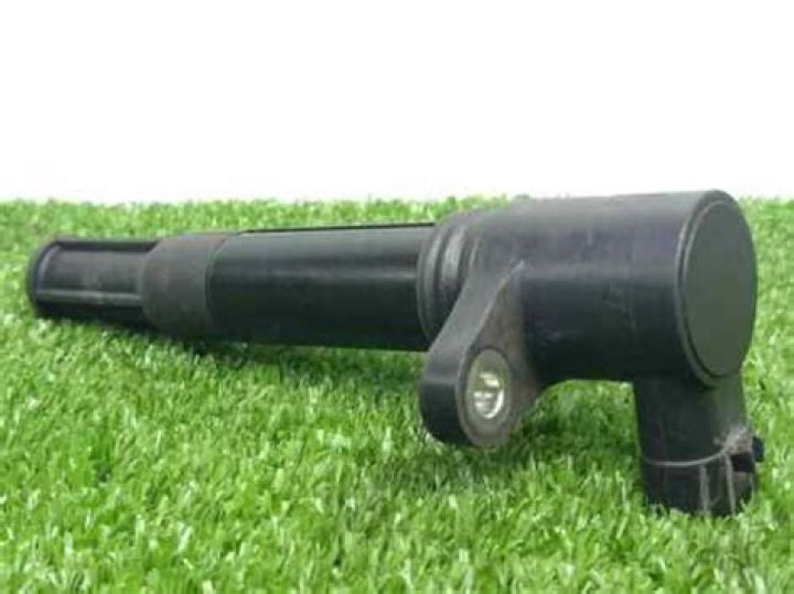 Katarina Ziervogel in Echo: Exploring the Role and Contributions of Katarina Ziervogel in the Series - SarkariResult