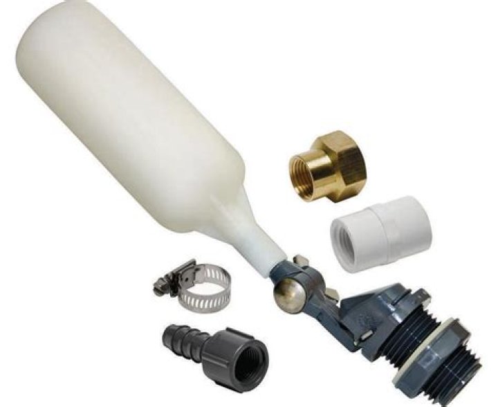 Disney Dreamlight Valley: The Great Blizzard Quest Guide - SarkariResult