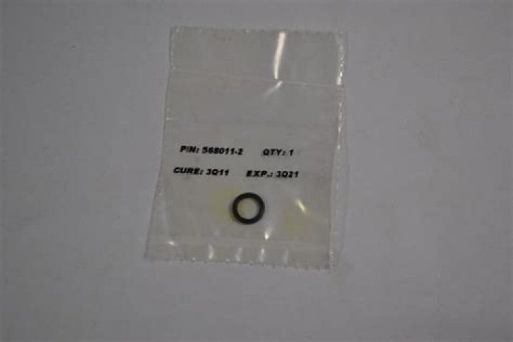 Cara Bossom Parents, Father James And Mother Michele - SarkariResult