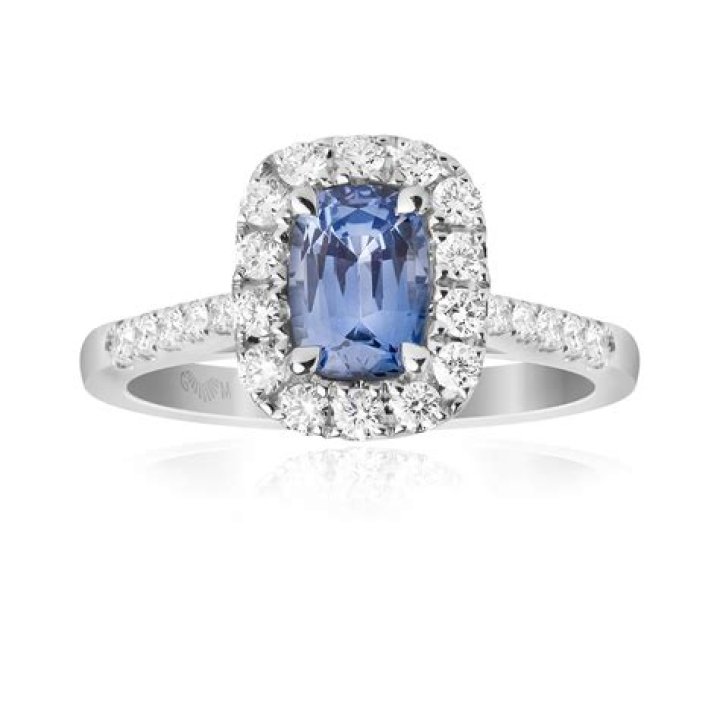 James L Dolan Net Worth: Career, Family, Age, Income, Wiki, Bio, All You Need to Know - SarkariResult