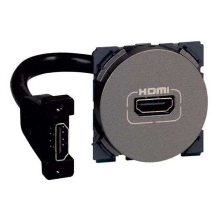 Grigor Dimitrov Net Worth: Career, Family, Age, Income, Wiki, Bio, All You Need to Know - SarkariResult