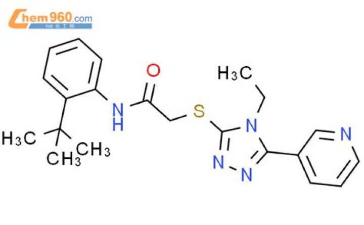 Mike Mcdaniel Net Worth: Career, Family, Age, Income, Wiki, Bio, All You Need to Know - SarkariResult