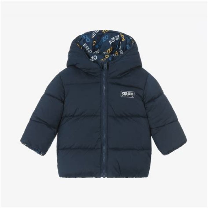 Bihar Vidhan Sabha ASO, Junior Clerk Recruitment 2024: 12वीं पास की नयी भर्ती जारी, यहाँ भरें फॉर्म