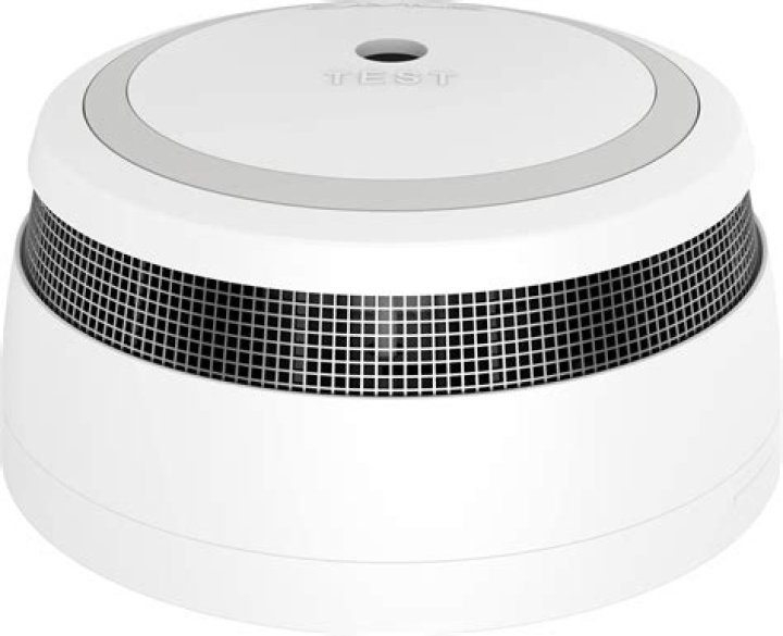 Where's Brielle from Ellen Now? What's the Latest on Brielle from Ellen? - SarkariResult