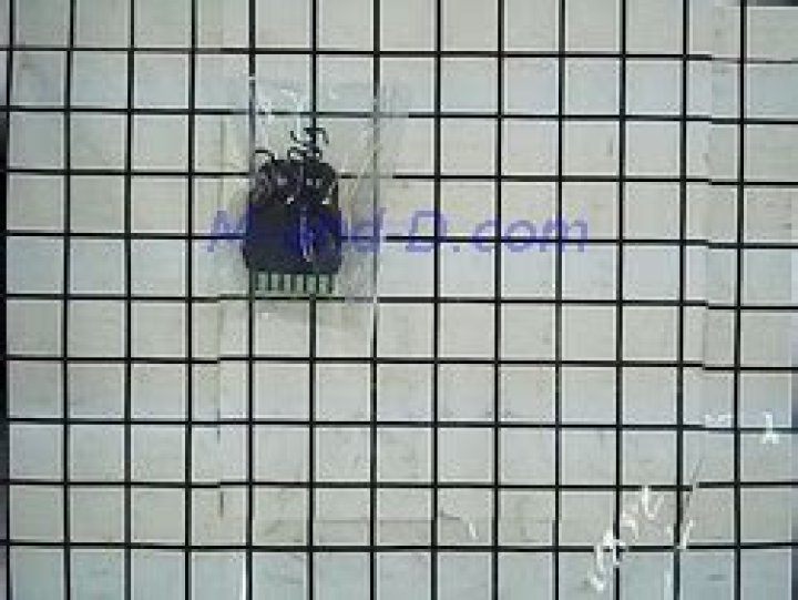 Who Is Popek Dating Now? A Look At The Polish Rapper’s Relationship History - SarkariResult