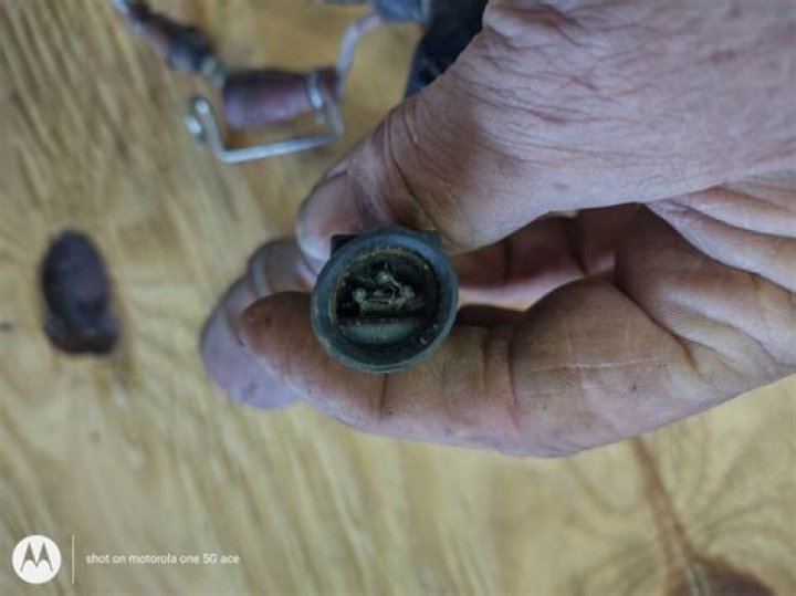 Courtney Lee Net Worth: Career, Family, Age, Income, Wiki, Bio, All You Need to Know - SarkariResult