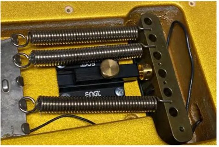 Animal Kingdom Season 7 Release Date : Recap, Cast, Review, Plot, Spoilers, Streaming, Schedule & Where To Watch? - SarkariResult