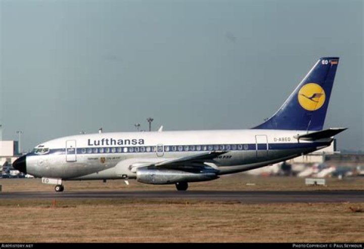 Warrior Nun Season 3 Release Date : Recap, Cast, Review, Plot, Spoilers, Streaming, Schedule & Where To Watch? - SarkariResult