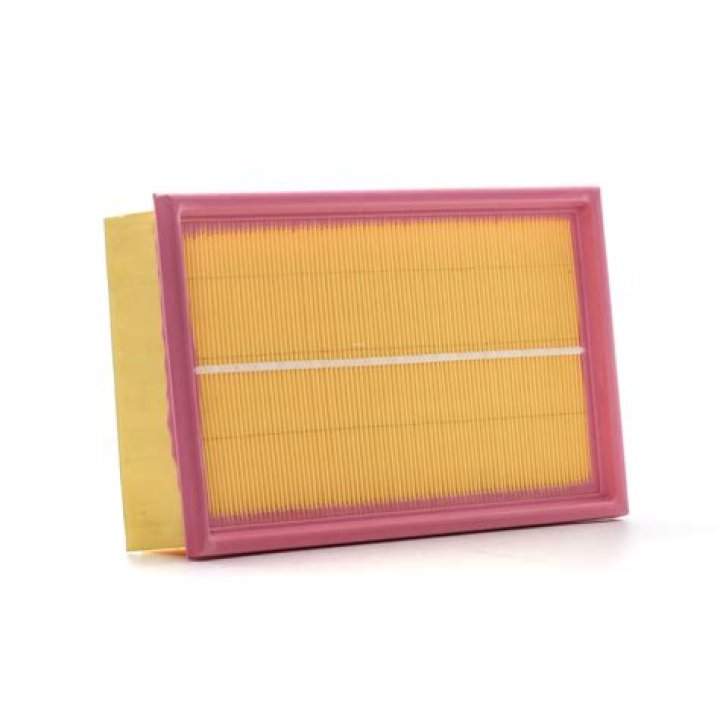 Scott Earl's Obituary & Cause Of Death, Who Was Scott Earl? What Happened to Scott Earl? - SarkariResult