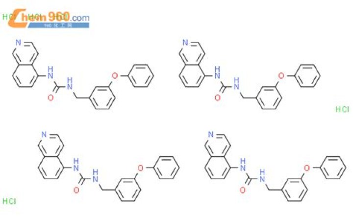Where is Amber Heard Currently? Understanding Amber Heard's Continued Role in Aquaman 2. - SarkariResult