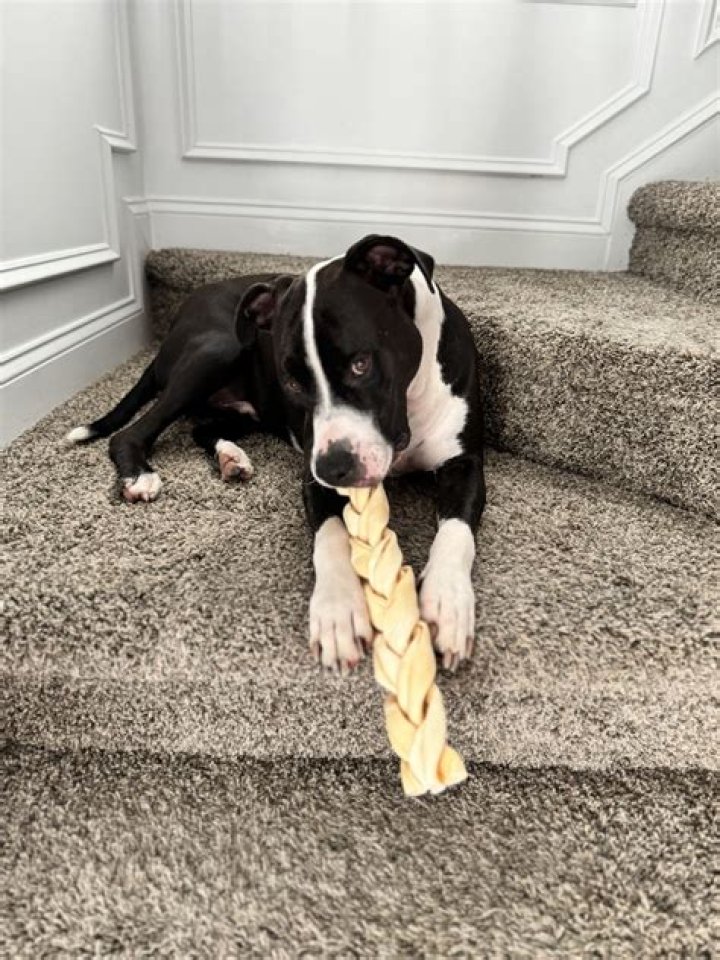 How Long is Granblue Fantasy Relink? - SarkariResult