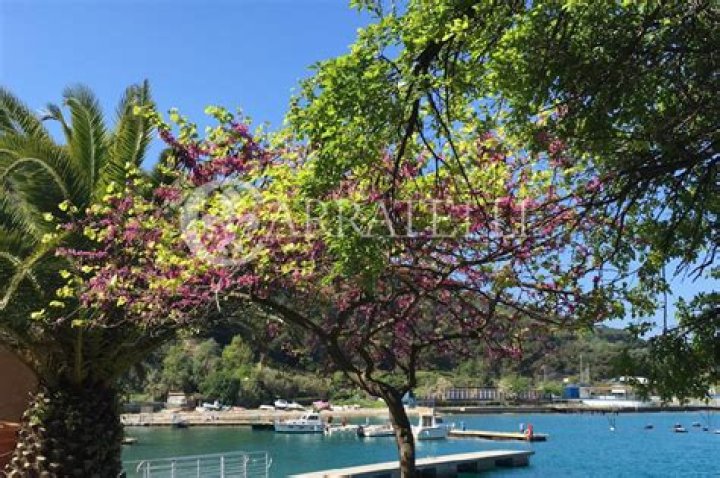 Cyberpunk 2077 Version 2.110.000 Patch Notes: New Bugs & Fixes - SarkariResult