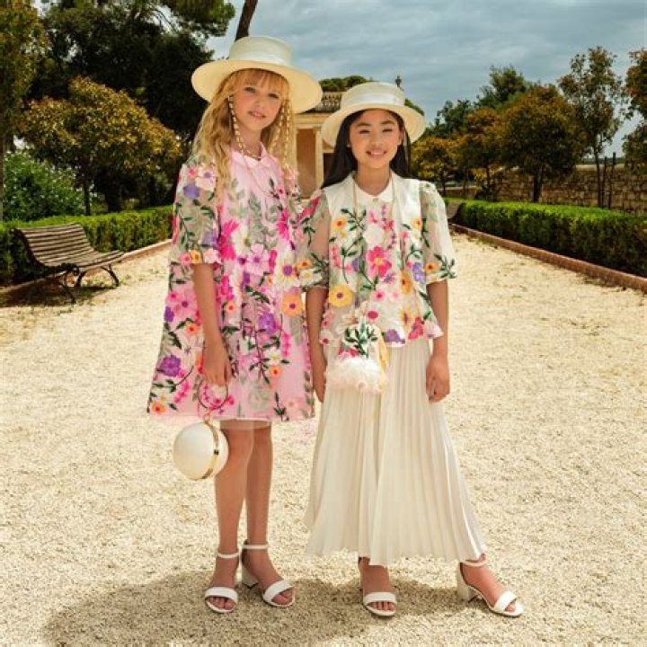 What Types of Cats Does Taylor Swift Own? What Are Taylor Swift's Cats' Names? How Many Cats Does Taylor Swift Have? - SarkariResult