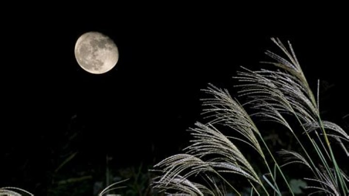 Toby Keith: Age, net worth, spouse, family, career, controversies, and additional insights - SarkariResult