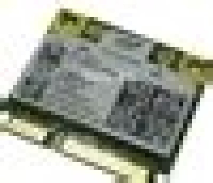 Necromancer’s Evolutionary Traits Chapter 45 Release Date, Recap, Cast, Review, Plot, Spoilers, Streaming, Schedule & Where To Watch? - SarkariResult