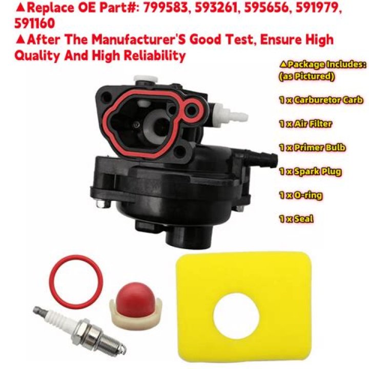 Pauly Shore Net Worth: Career, Family, Age, Income, Wiki, Bio, All You Need to Know - SarkariResult