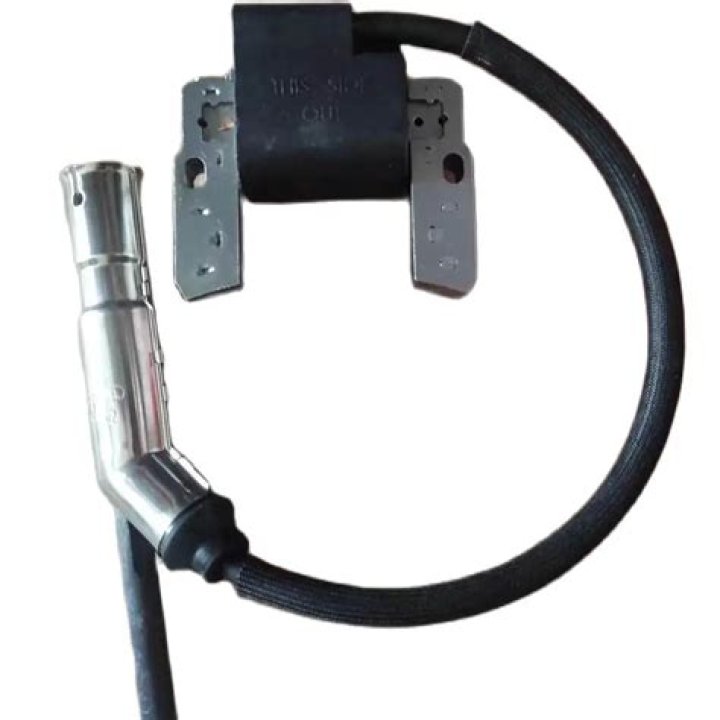 Is Erin Perrine Married? Erin Perrine Relationship Staus, Who is Erin Perrine? Know All About Her - SarkariResult