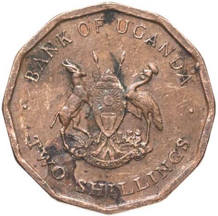 Helldivers 2: How to Get and Use Boosters? - SarkariResult