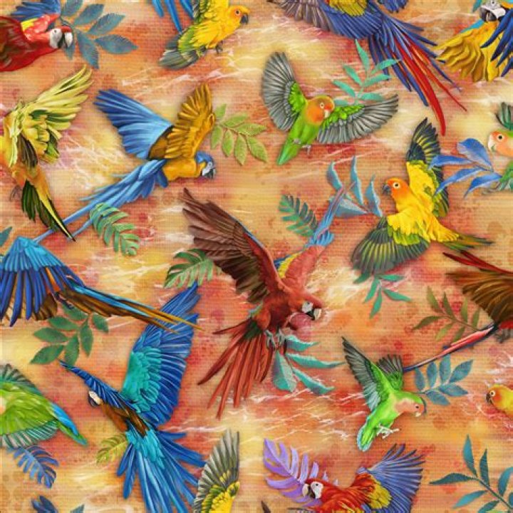 Shadow Milk Voice Actor: Who Voices Shadow Milk Cookie? - SarkariResult