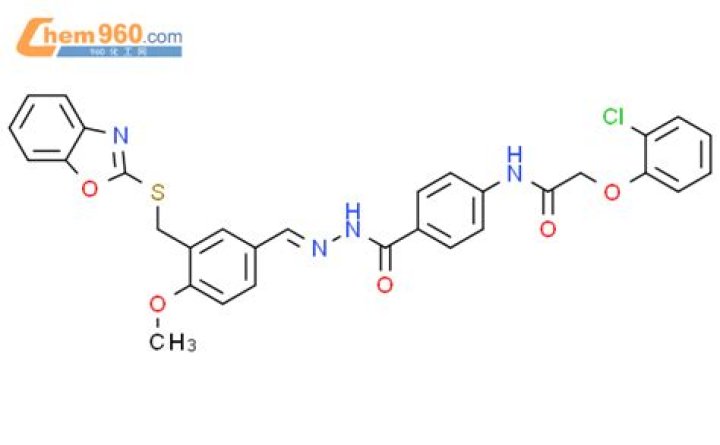 Is Jason Murray Lawyer Gay Rumors True? Gender And Sexuality - SarkariResult