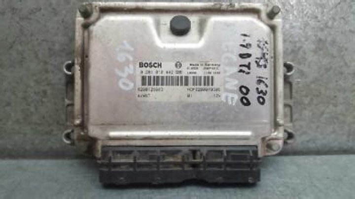 Raul Fernandez Net Worth: Career, Family, Age, Income, Wiki, Bio, All You Need to Know - SarkariResult