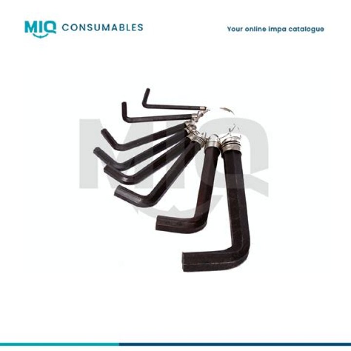 Leo Woodall Wife, Leo Woodall And Meghann Fahy's Full Relationship Timeline - SarkariResult