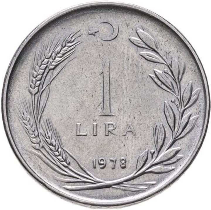 Matteo Stoppa Net Worth: Career, Family, Age, Income, Wiki, Bio, All You Need to Know - SarkariResult