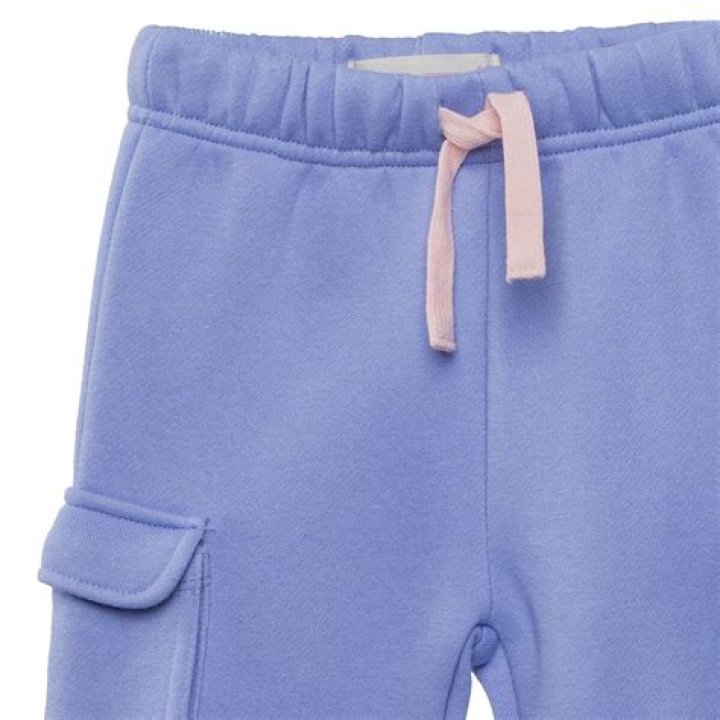 Is Sylvester Stallone Leaving California? Why is He Leaving California? Who is Sylvester Stallone? - SarkariResult