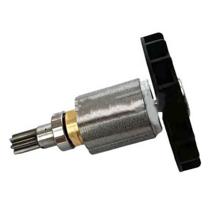 Davide Biraschi Net Worth: Career, Family, Age, Income, Wiki, Bio, All You Need to Know - SarkariResult