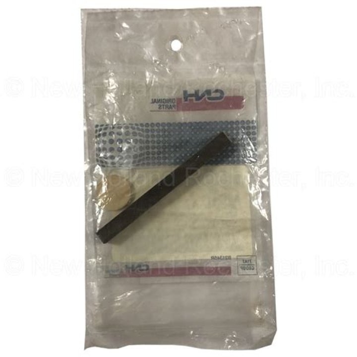 Who is Gloria Romero? Is She Still Alive? Know All About Her - SarkariResult