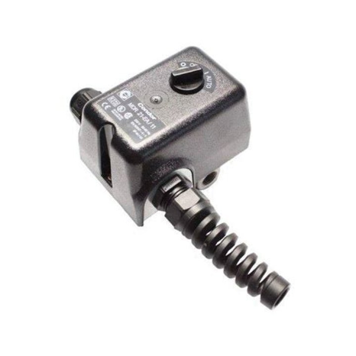 Natasha Culzac Net Worth, Wiki, Parents, Ethnicity, Religion, Wikipedia, Biography, Age, Family And More - SarkariResult