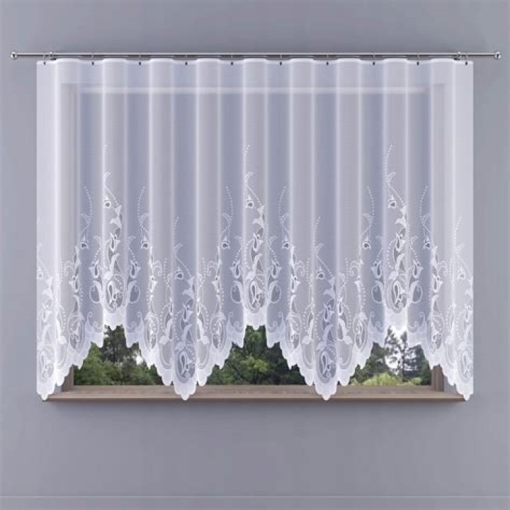 Tony Hawk Net Worth : Career, Family, Age, Income, Wiki, Bio, All You Need to Know - SarkariResult