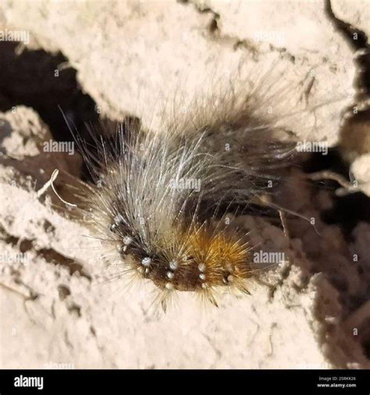 Jesse Tyler Ferguson Net Worth: Career, Family, Age, Income, Wiki, Bio, All You Need to Know - SarkariResult