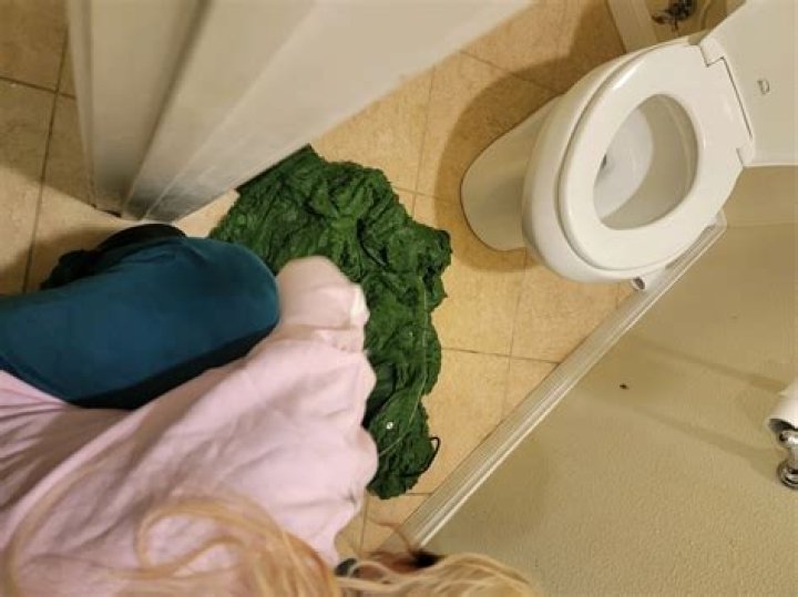 
“Aaron had a lot of death threats”: Aaron Carter death scene photos revealed by mother as she hints at possible crime 